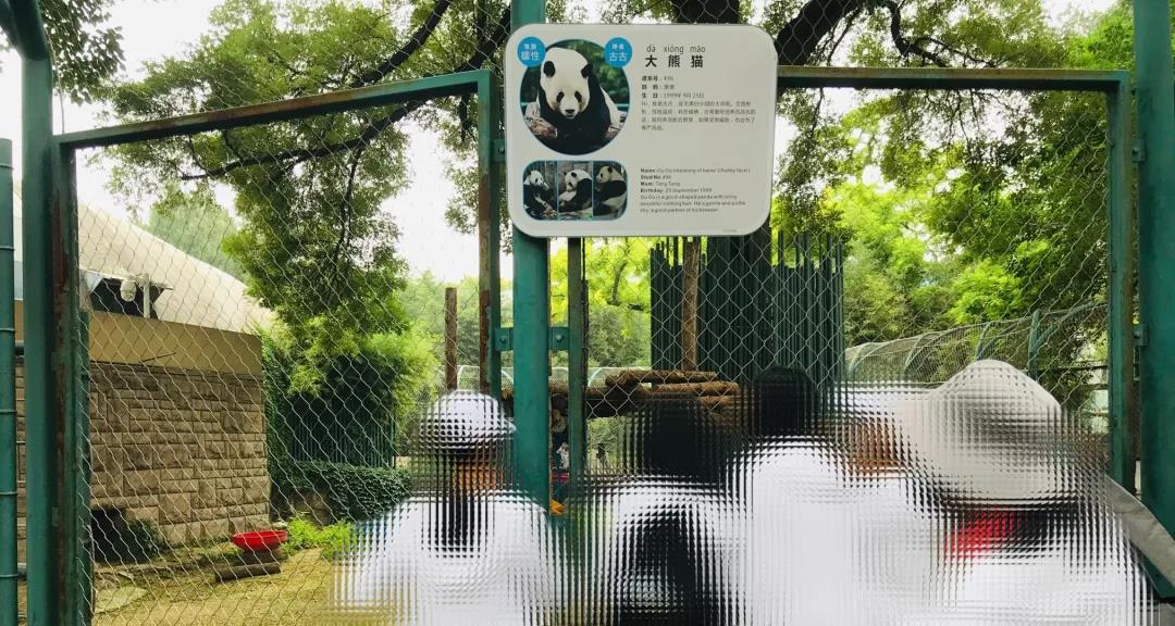 爱佑安生项目帮助心理受创的孩子感受爱